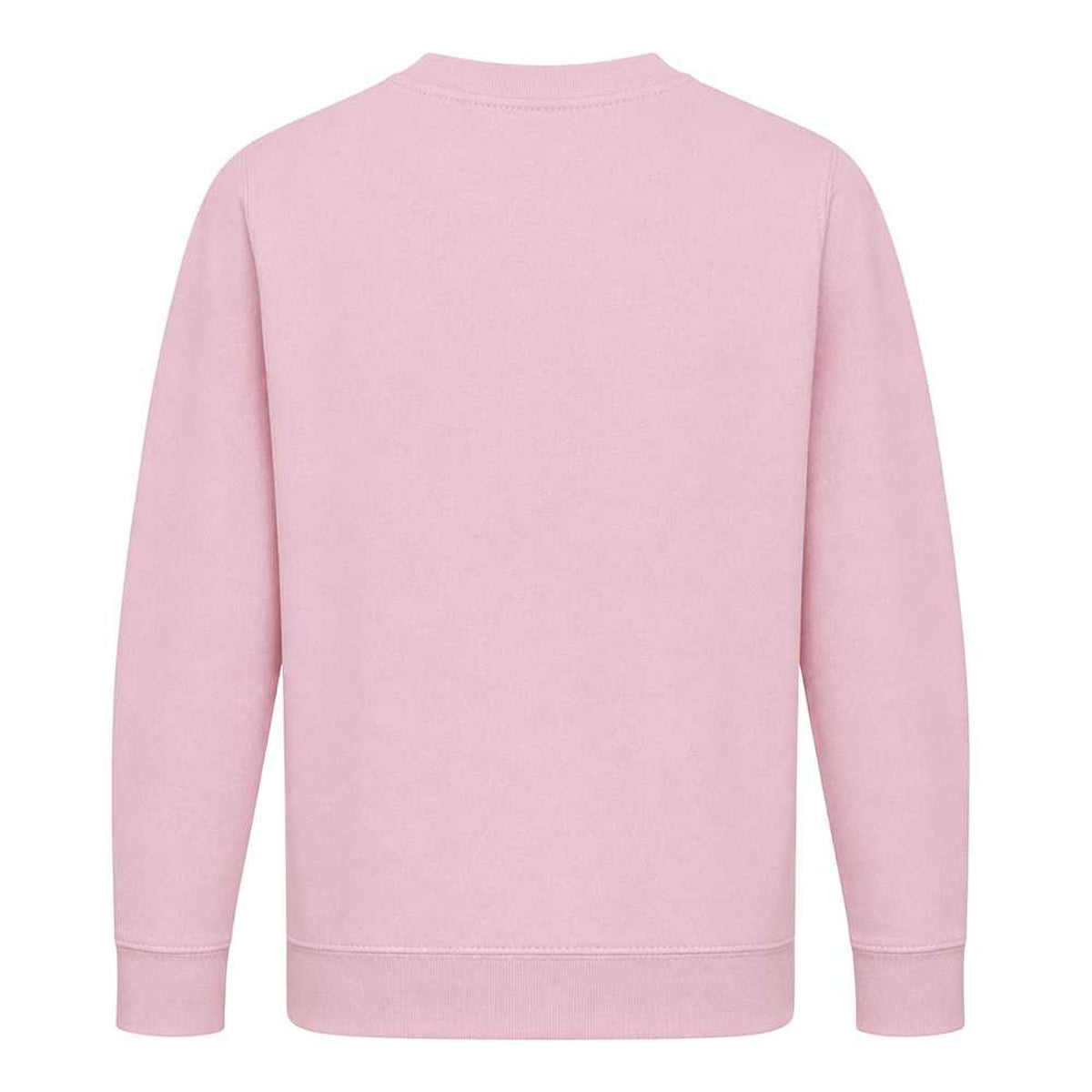 Pink - Back - Star Wars Childrens-Kids Darth Vader Sweatshirt