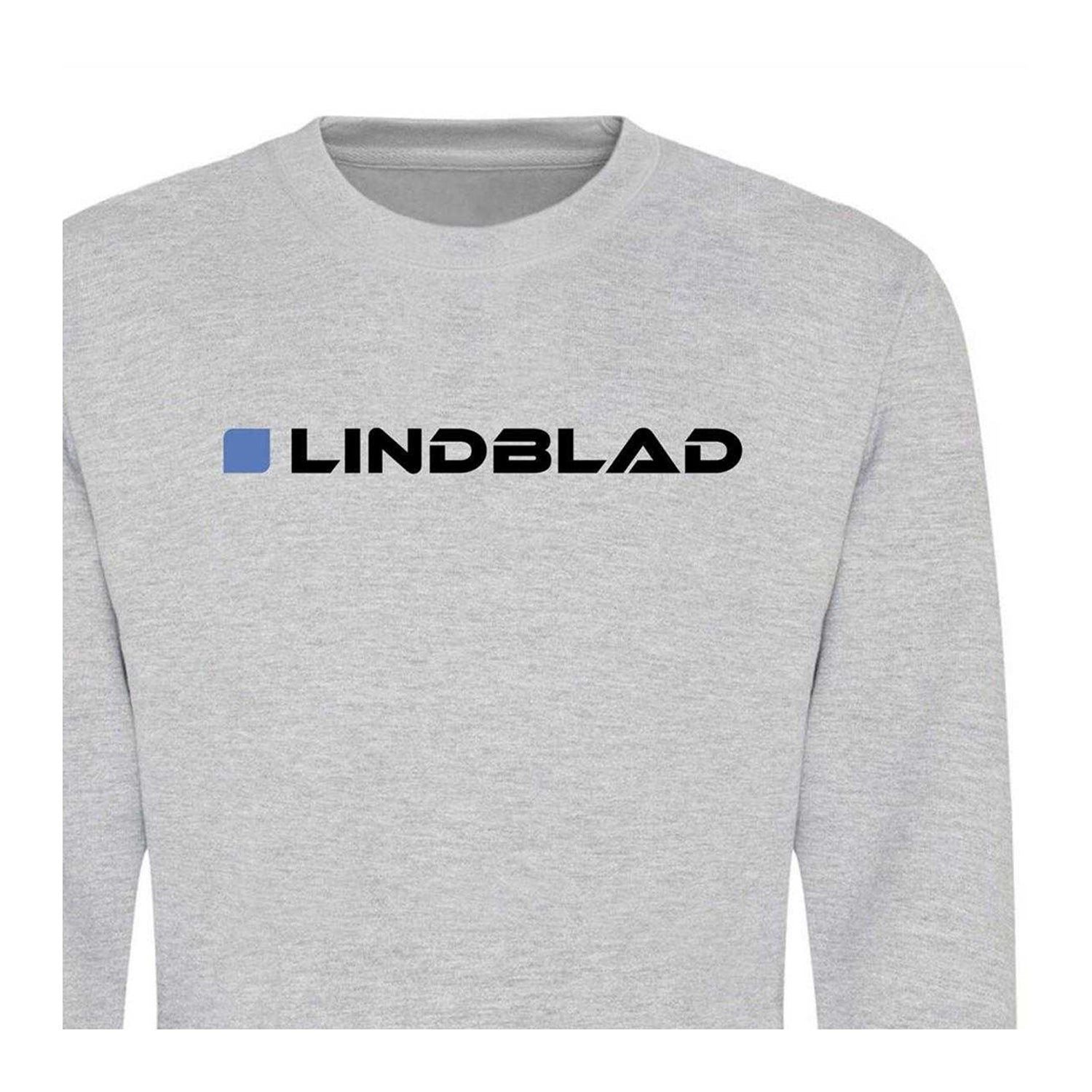 Grey - Side - AWD Unisex Adult Formula 1 Sweatshirt