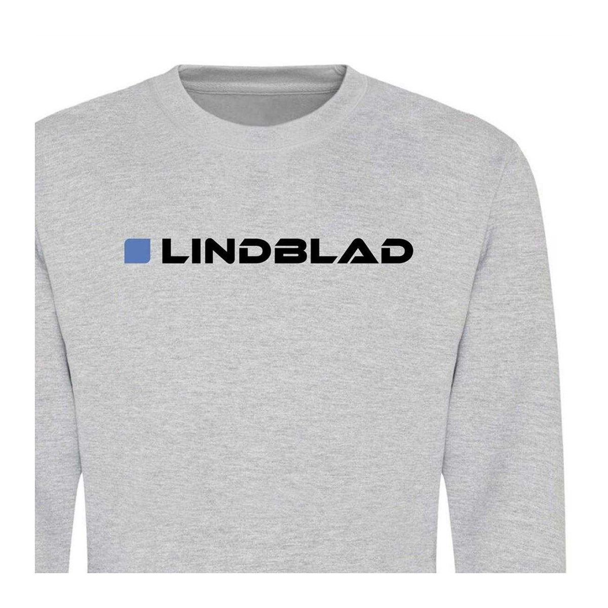 Grey - Side - AWD Unisex Adult Formula 1 Sweatshirt