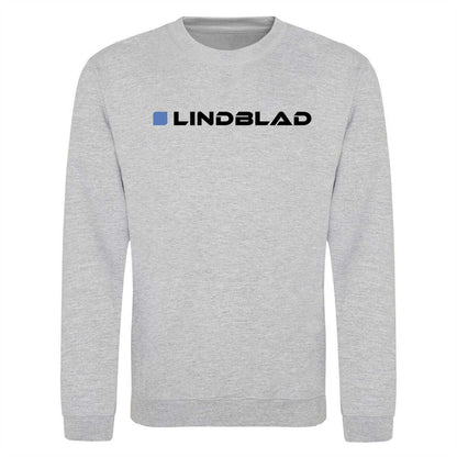 Grey - Front - AWD Unisex Adult Formula 1 Sweatshirt