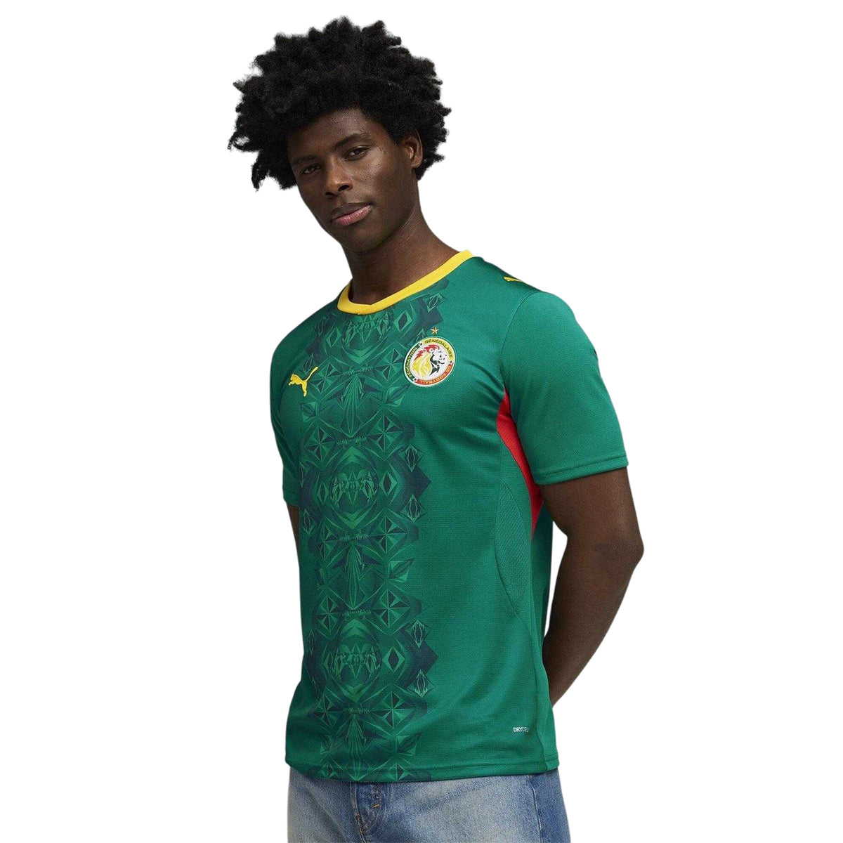 Green-Red - Lifestyle - Puma Mens World Cup 2026 Senegal Away Shirt