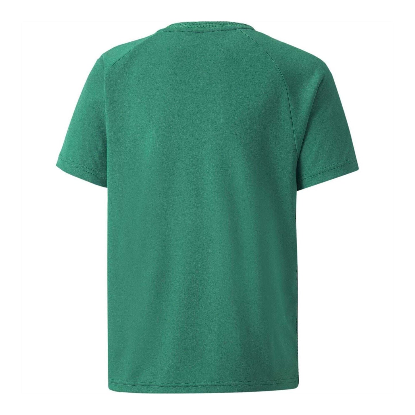 Green-Black-White - Back - Puma Childrens-Kids Team Liga Striped Stripes Athletic T-Shirt