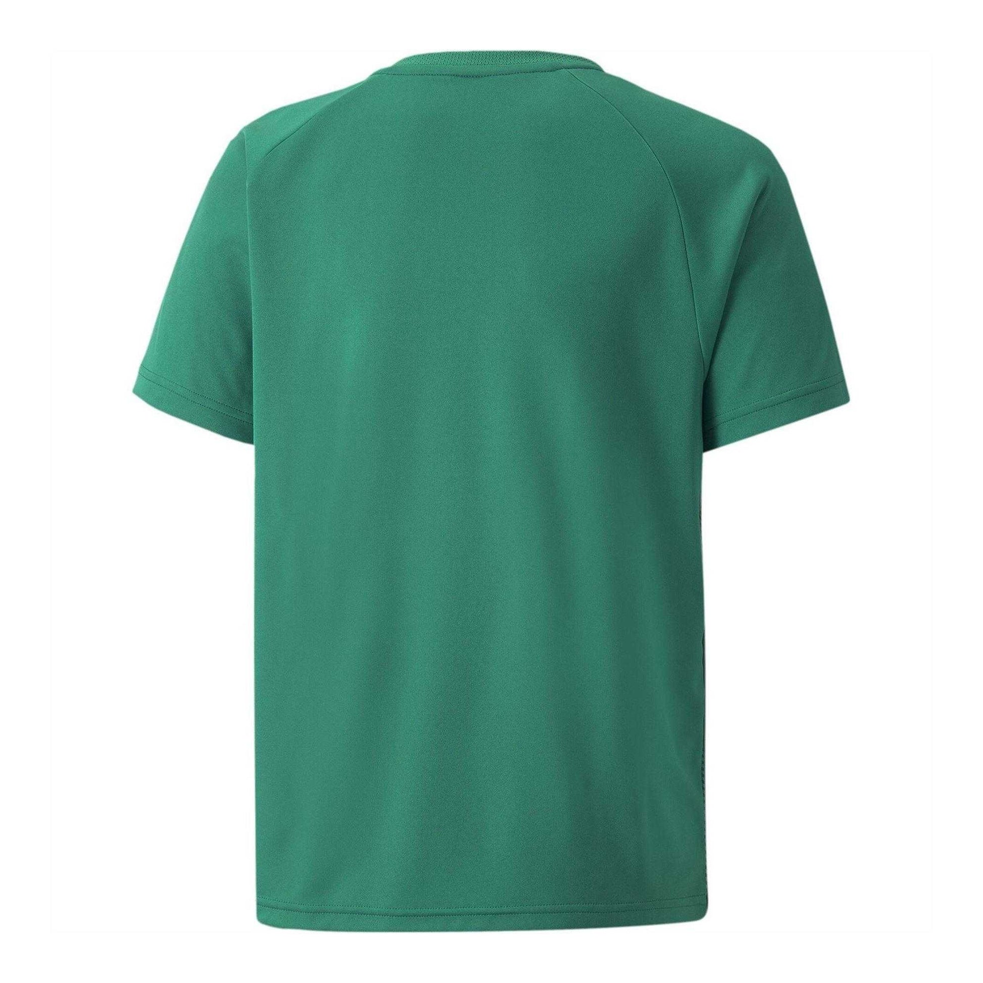 Green-Black-White - Back - Puma Childrens-Kids Team Liga Striped Stripes Athletic T-Shirt