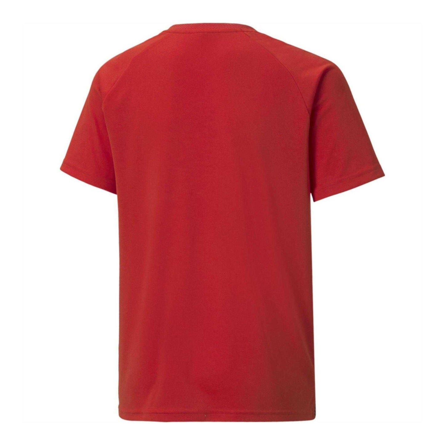 Red-Black-White - Back - Puma Childrens-Kids Team Liga Striped Stripes Athletic T-Shirt