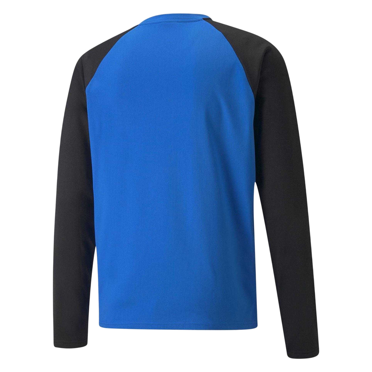 Electric Blue-Black - Back - Puma Mens TeamLIGA Long-Sleeved T-Shirt
