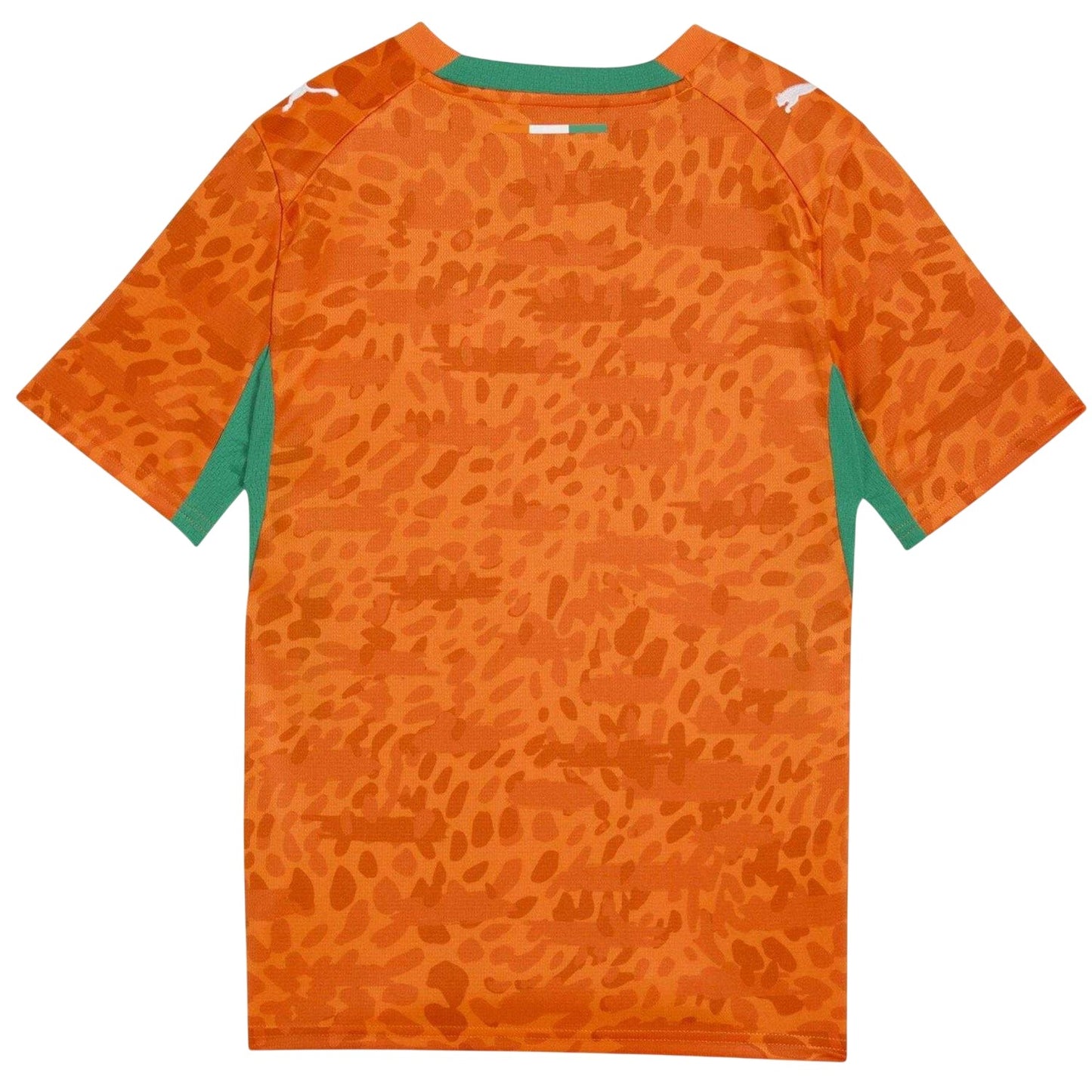 Orange-Green - Back - Puma Childrens-Kids World Cup 2026 Ivory Coast FC Football Shirt