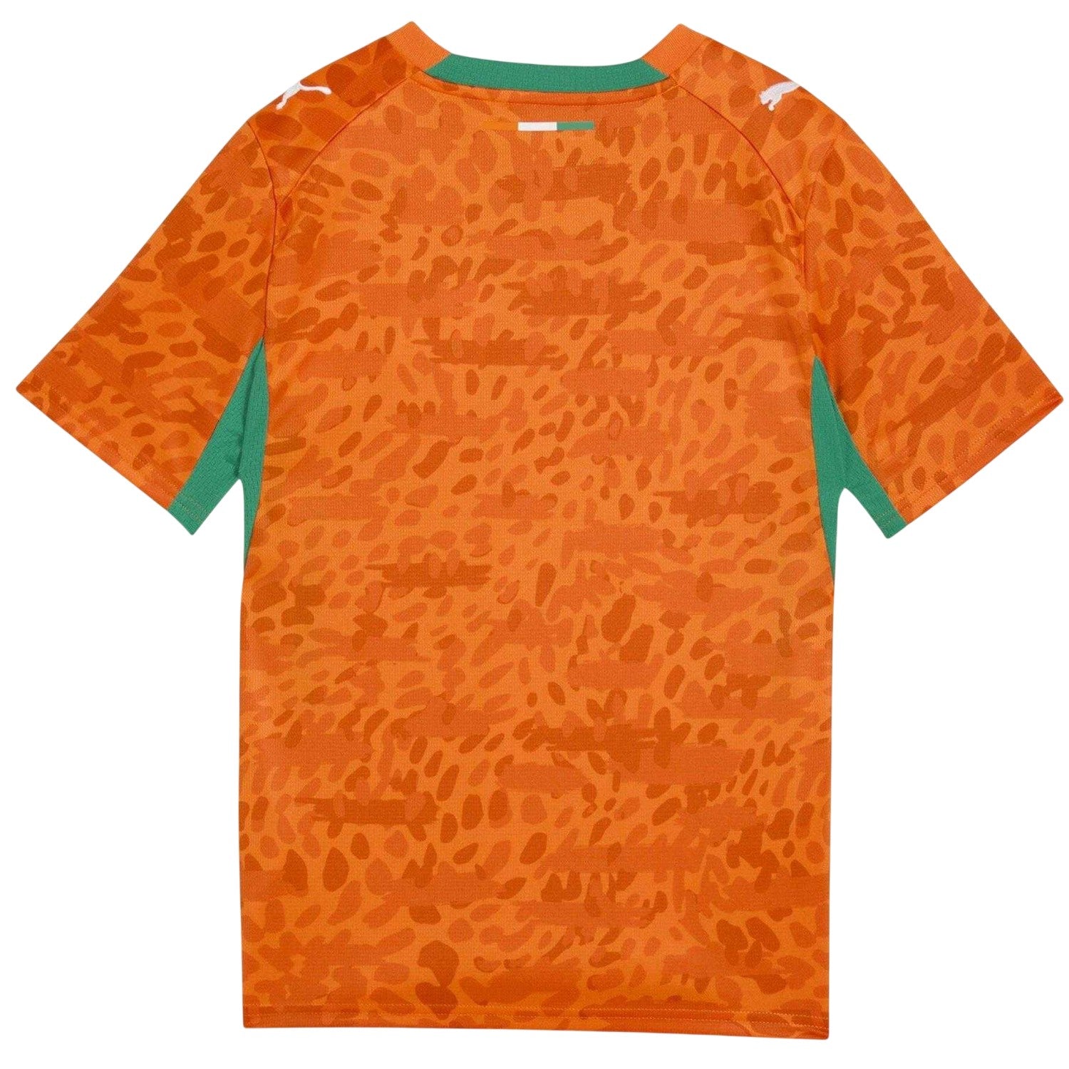 Orange-Green - Back - Puma Childrens-Kids World Cup 2026 Ivory Coast FC Football Shirt