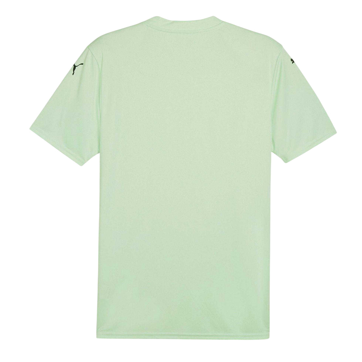 Fresh Mint-Black - Back - Puma Mens Teamglory Chevron T-Shirt