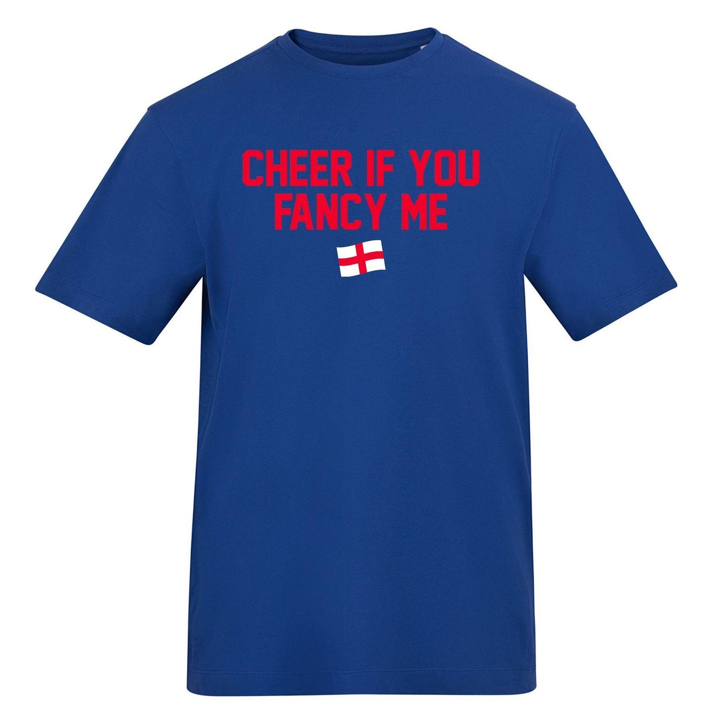 Blue - Front - AWD Mens Cheer If You Fancy Me T-Shirt