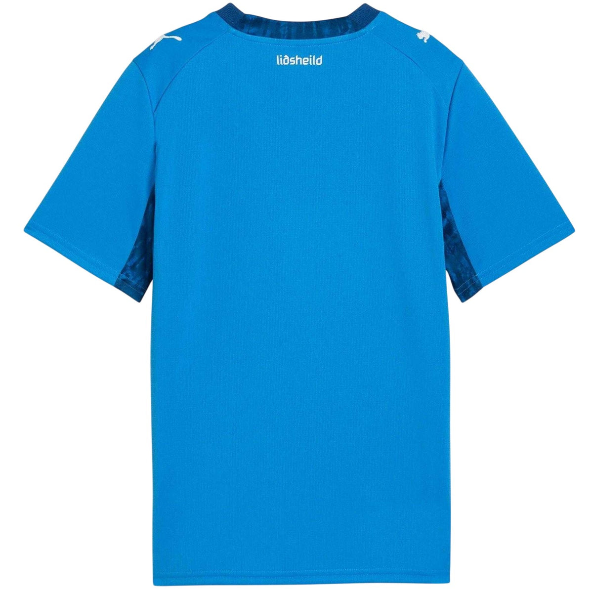 Blue-White - Back - Puma Childrens-Kids World Cup 2026 Iceland Home Shirt