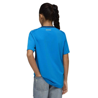 Blue-White - Pack Shot - Puma Childrens-Kids World Cup 2026 Iceland Home Shirt