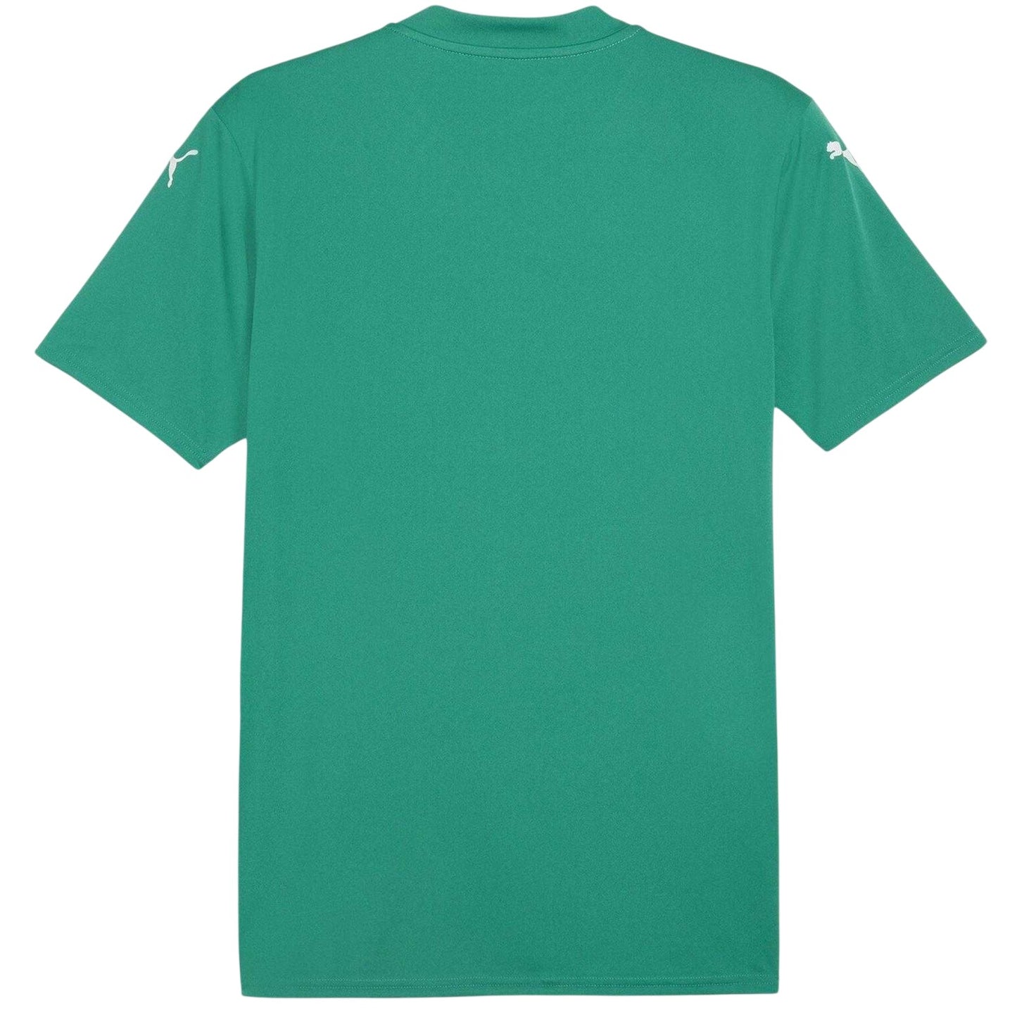Sport Green-White - Back - Puma Mens Teamglory Jersey T-Shirt