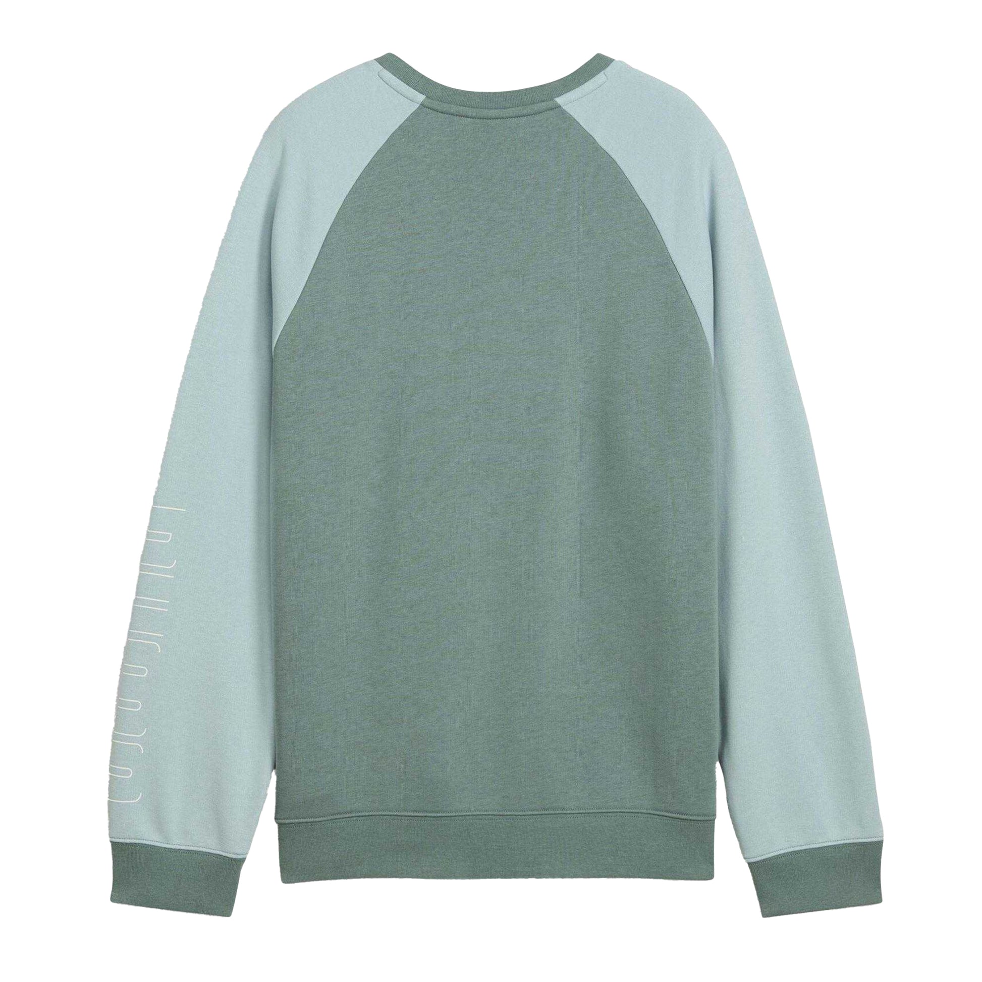 Green-Moon - Back - Puma Childrens-Kids Sportstyle Relaxed Fit Raglan Long-Sleeved Sweatshirt