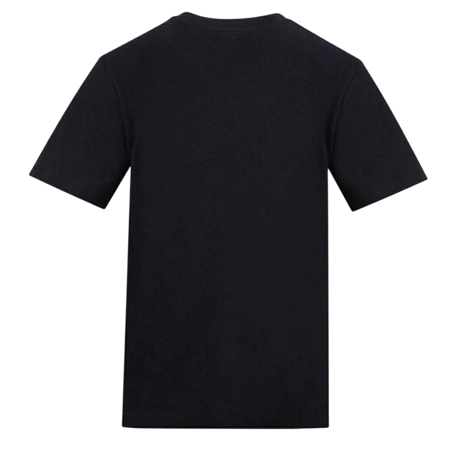 Black - Back - Plain Lazy Mens Cycle Of Life Printed T-Shirt
