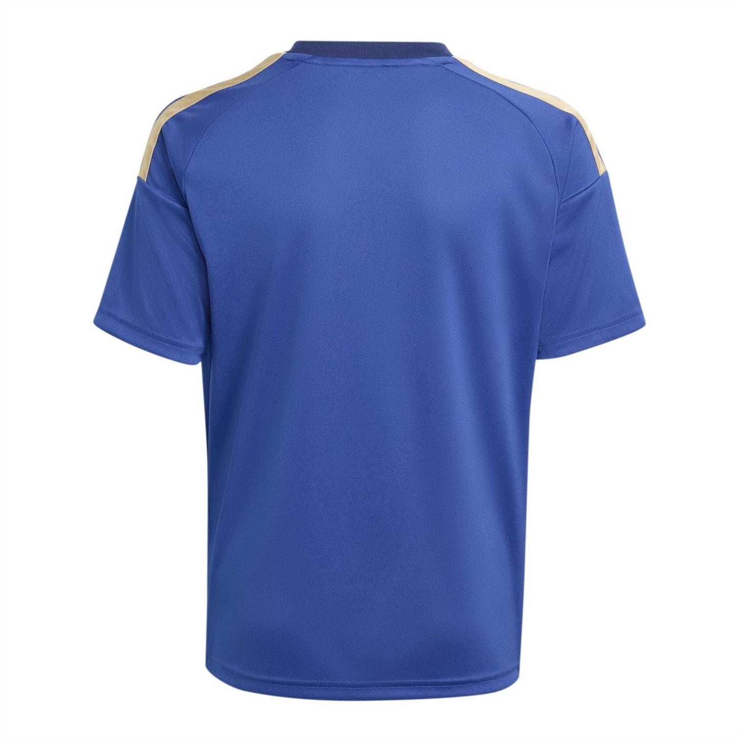 Blue-White - Back - Adidas Childrens-Kids Italy Football Jersey