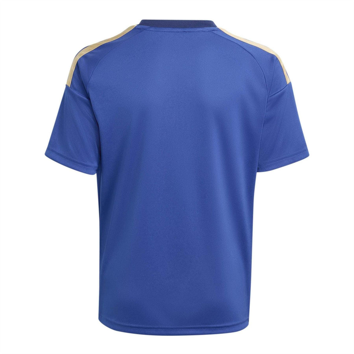 Blue-White - Back - Adidas Childrens-Kids Italy Football Jersey