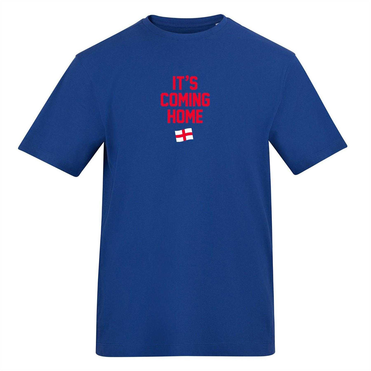 Blue - Front - AWD Mens It's Coming Home T-Shirt