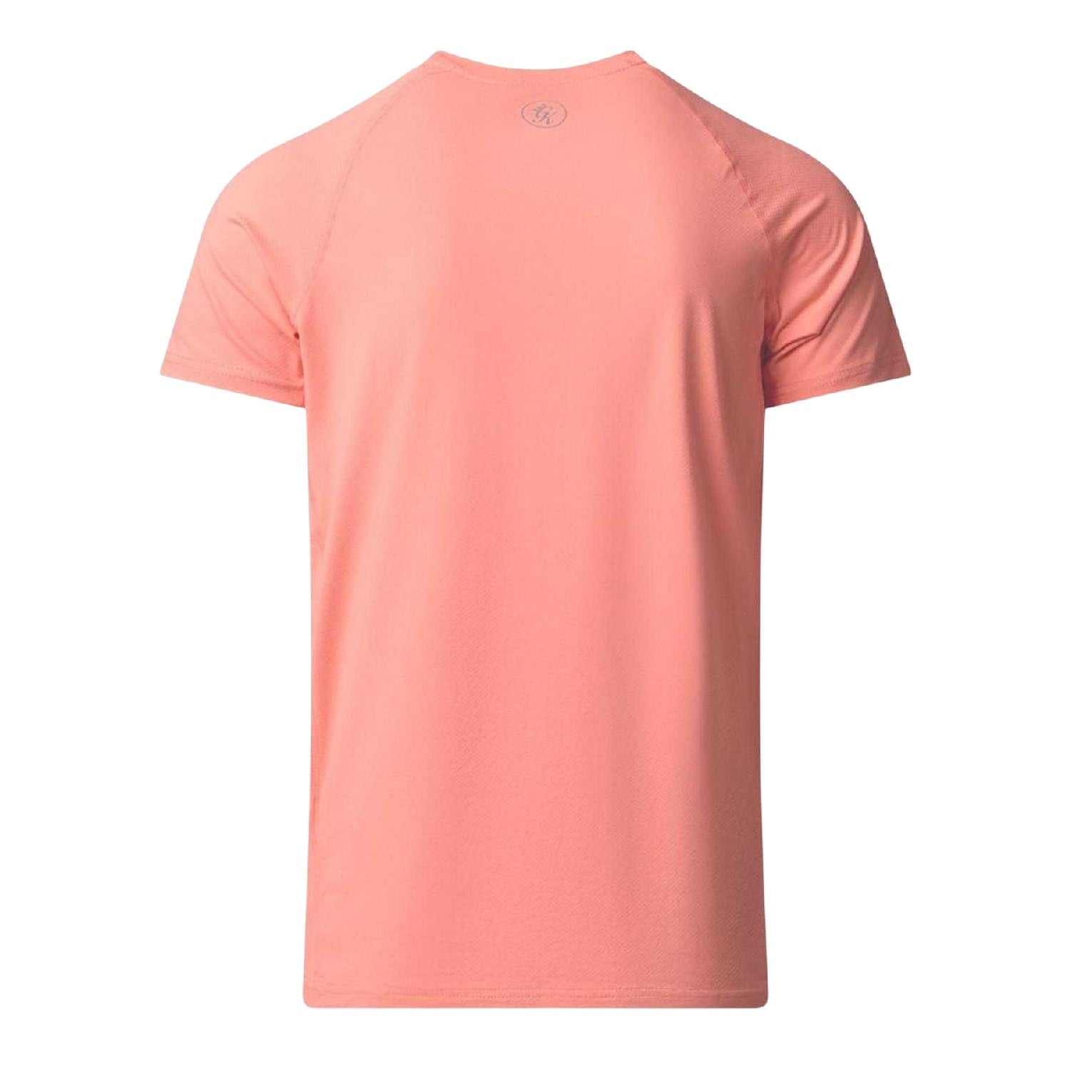 Dusty Coral - Back - Gym King Mens Energy T-Shirt