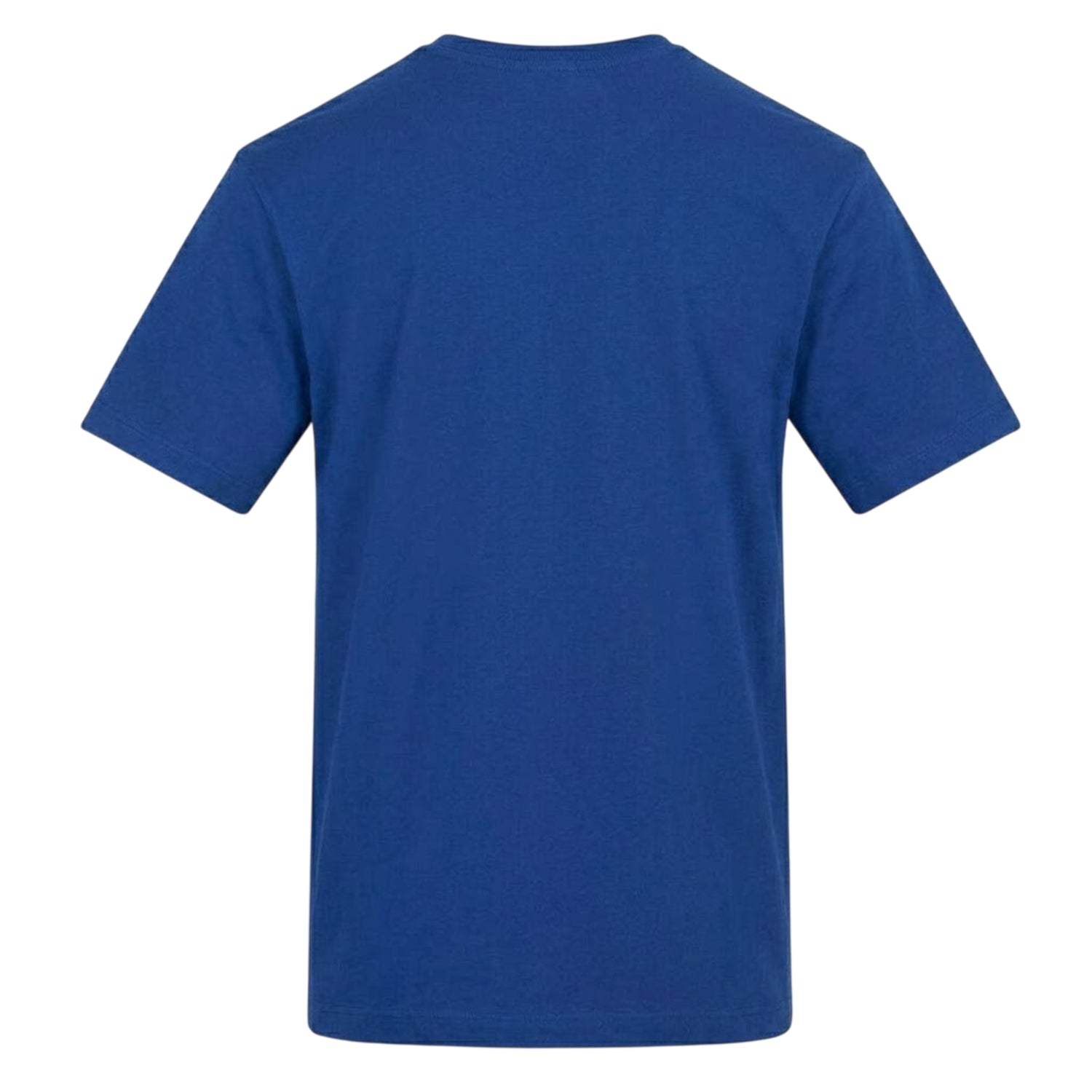Blue - Back - AWD Womens-Ladies Wag Flag T-Shirt