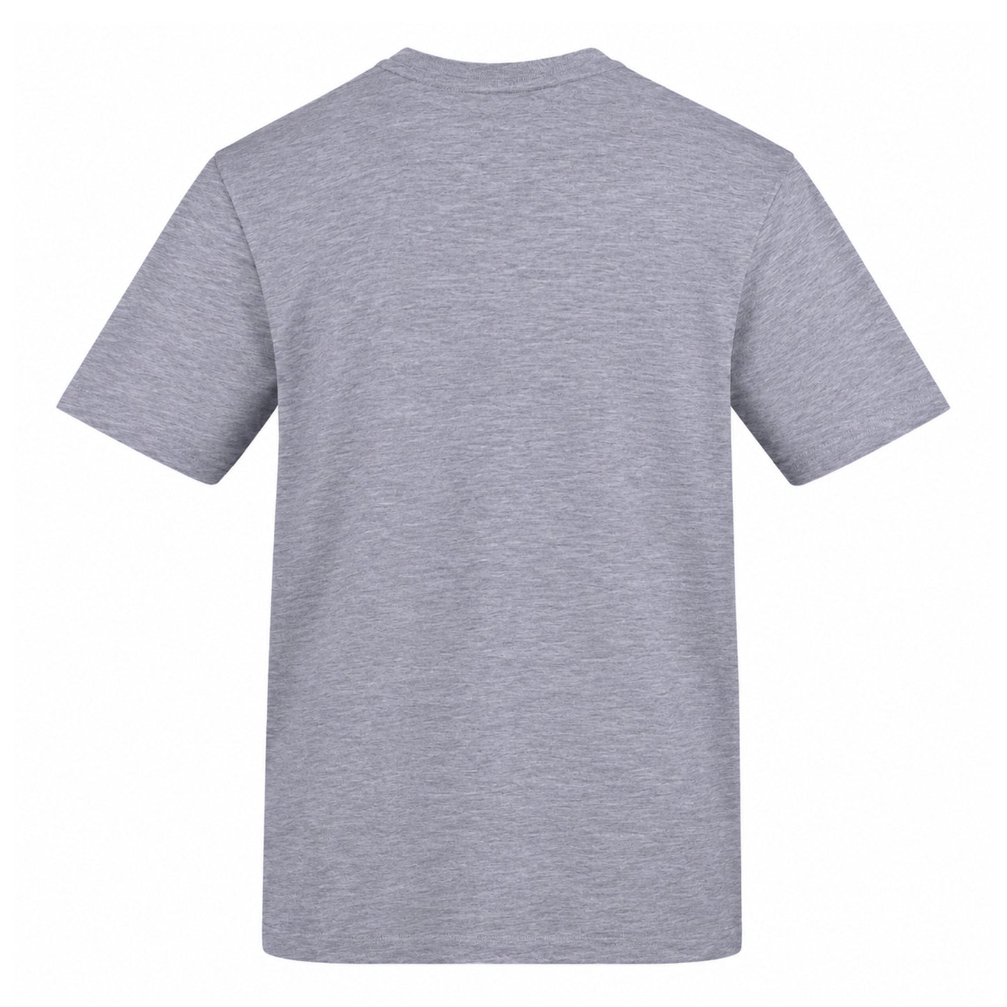 Grey - Back - AWD Unisex Adult Lads On Tour T-Shirt