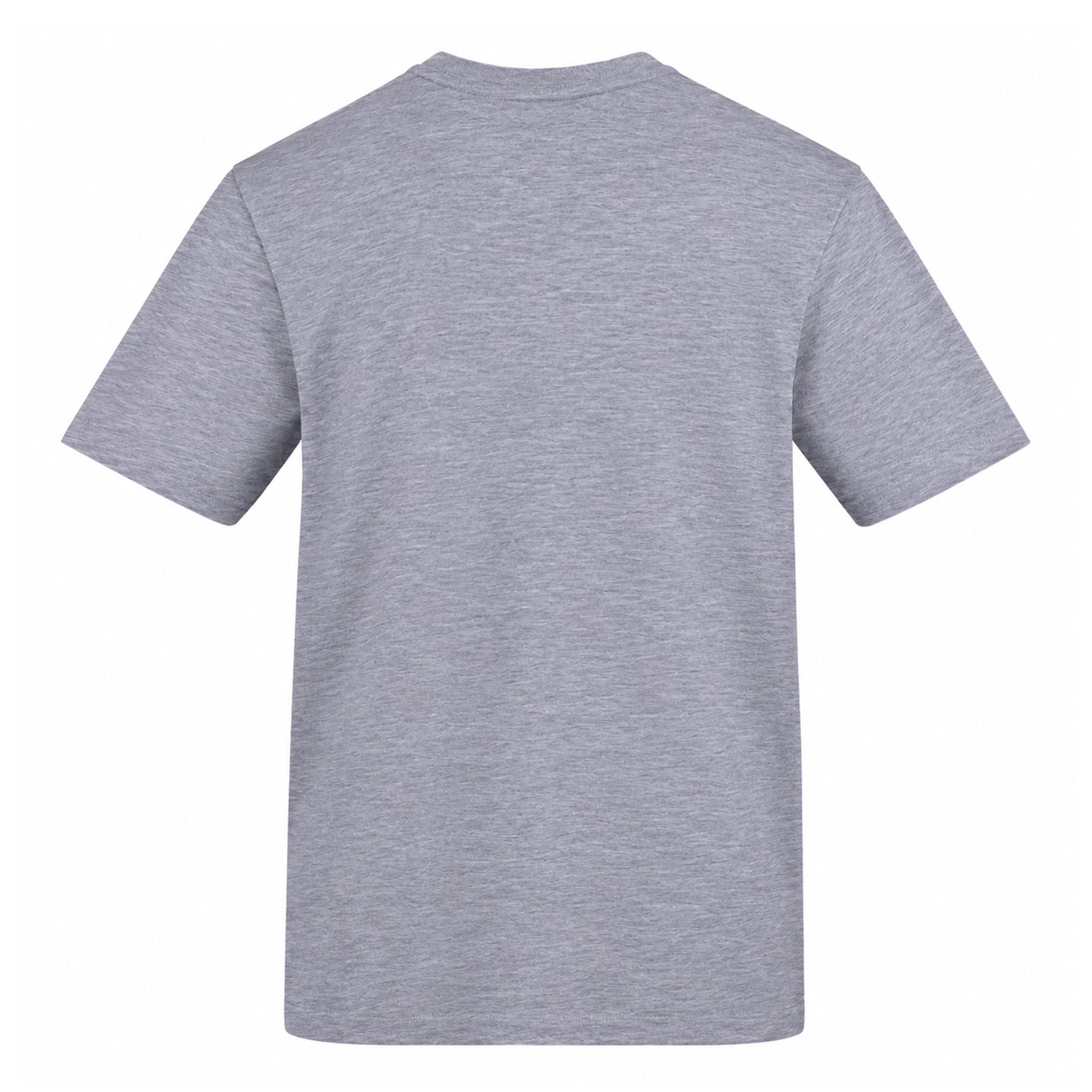 Grey - Back - AWD Unisex Adult Lads On Tour T-Shirt