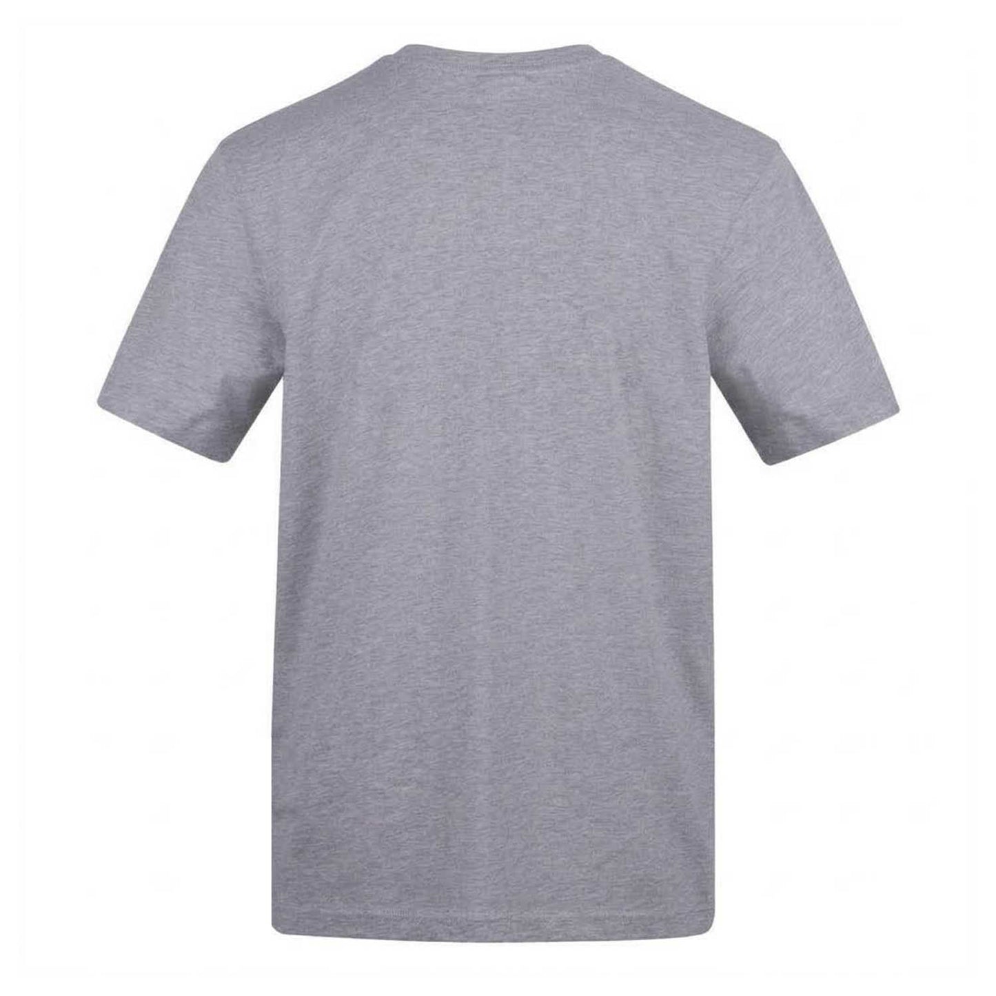 Grey - Back - AWD Mens I Love Rich Girls T-Shirt