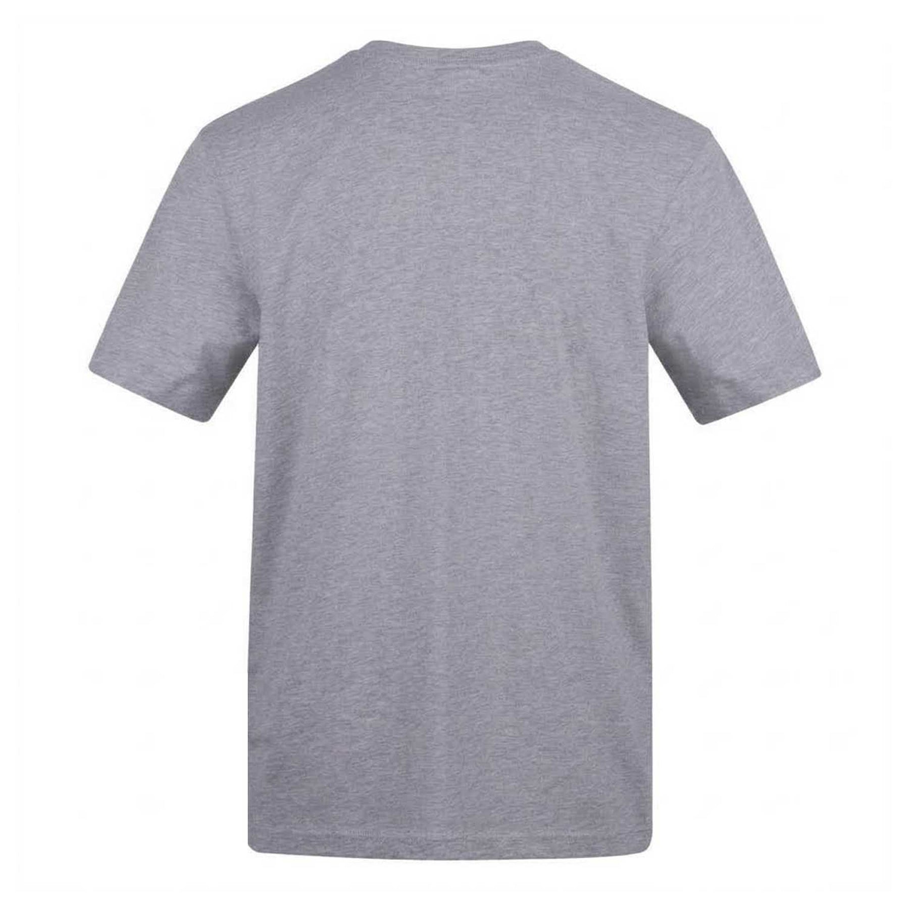 Grey - Back - AWD Mens I Love Rich Girls T-Shirt