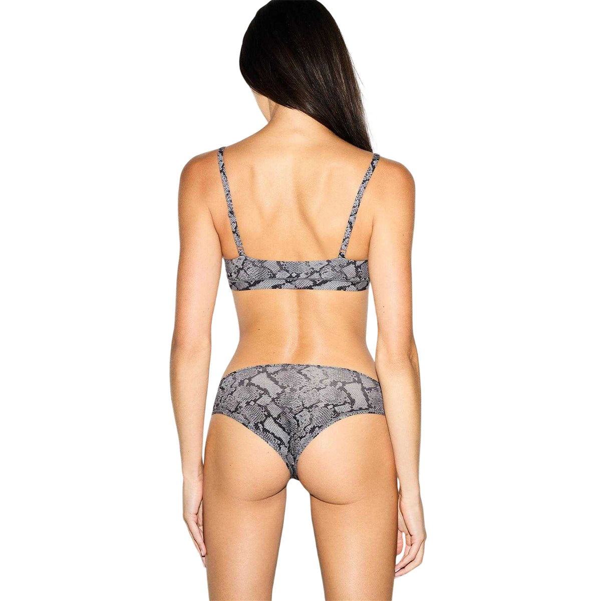 Shadow - Back - Skims Womens-Ladies Fits Everybody Snake Print Briefs