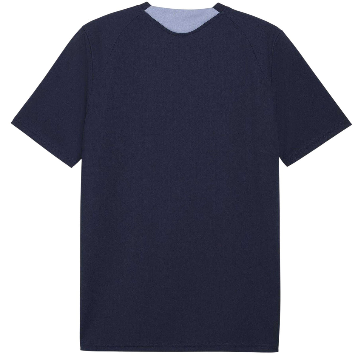 Navy Blue-Blue - Back - Puma Mens World Cup 2026 Austria FC Training T-Shirt