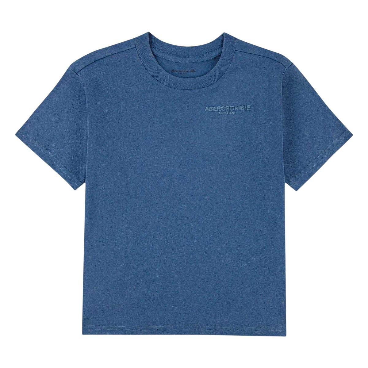 Moonlight Blue - Front - Abercrombie & Fitch Childrens-Kids T-Shirt