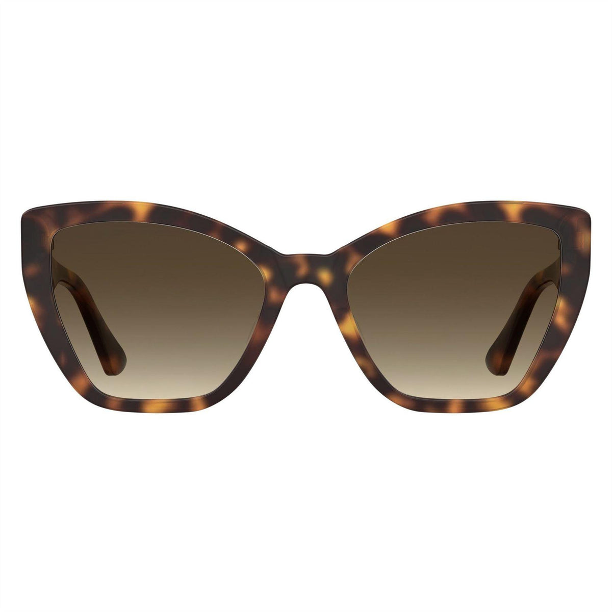 Havana - Back - Moschino Womens-Ladies Cat Eye Sunglasses