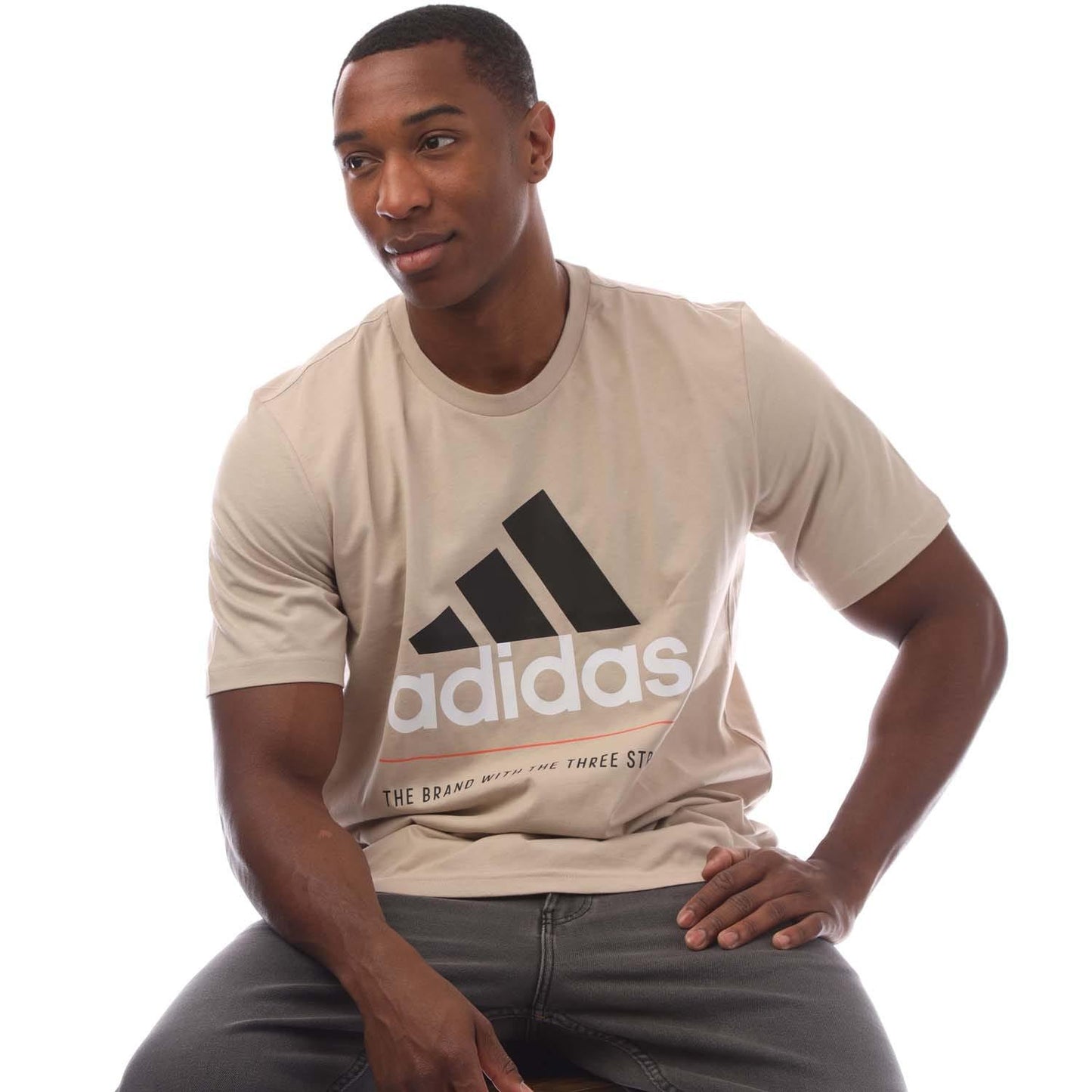 Beige - Lifestyle - Adidas Mens Graphic Logo T-Shirt