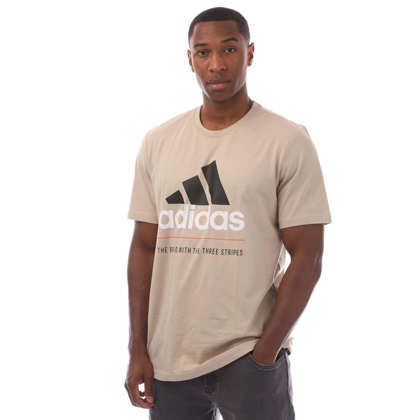 Beige - Front - Adidas Mens Graphic Logo T-Shirt