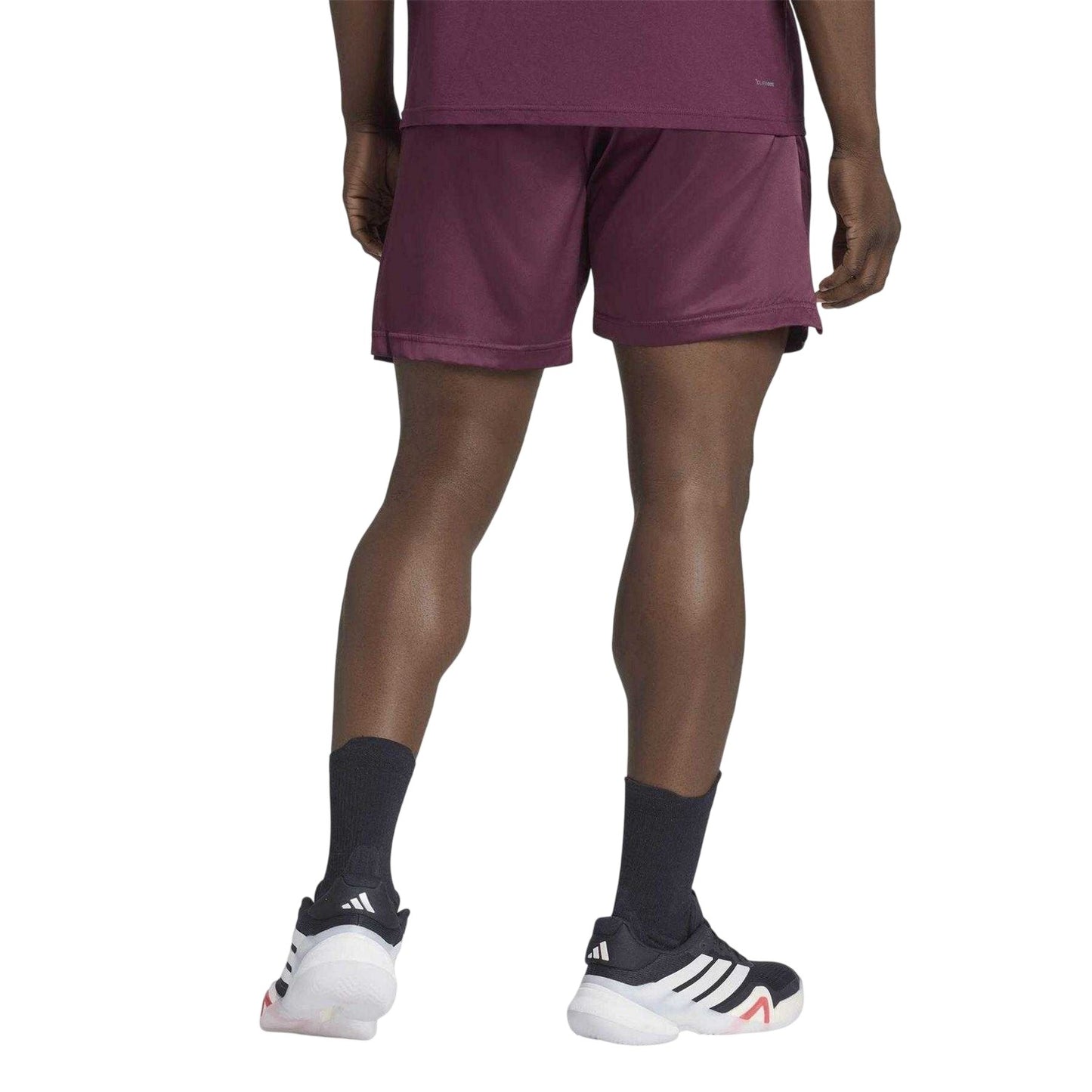Maroon - Back - Adidas Mens US Climacool Shorts