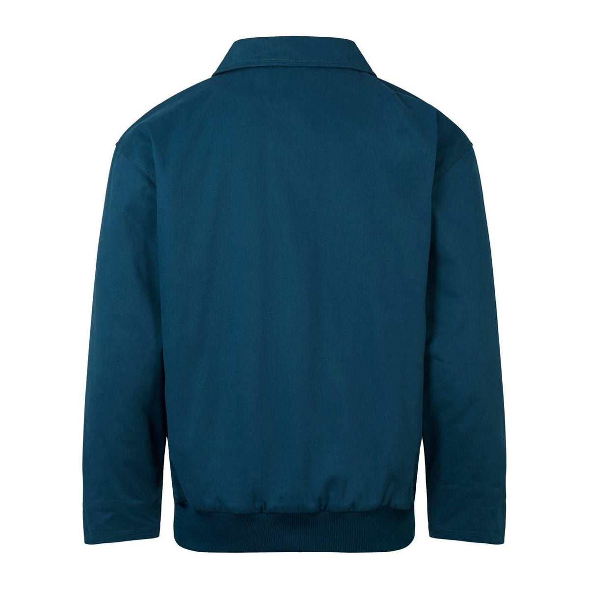Moonlight Ocean - Back - Canterbury Mens British & Irish Lions Quilted Jacket