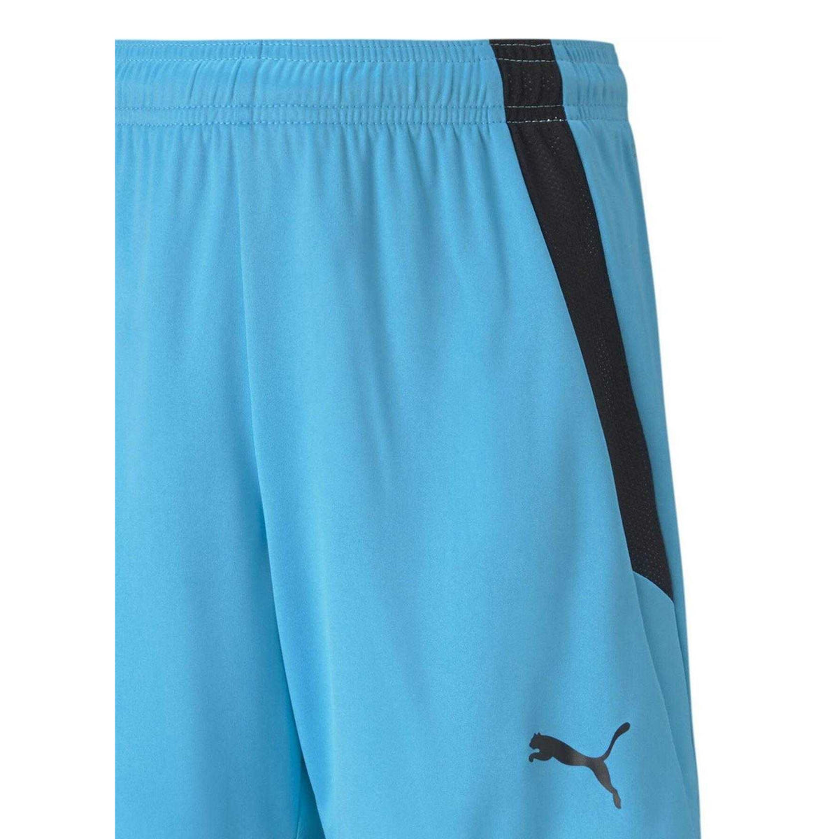 Blue Atoll-Black - Side - Puma Childrens-Kids Team Liga Football Shorts