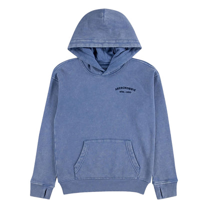 Moonlight Blue - Front - Abercrombie & Fitch Childrens-Kids Faded Hoodie