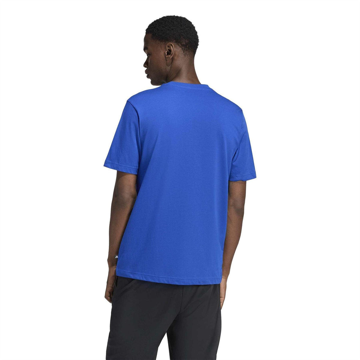 Team Royal Blue - Back - Adidas Mens Surf T-Shirt