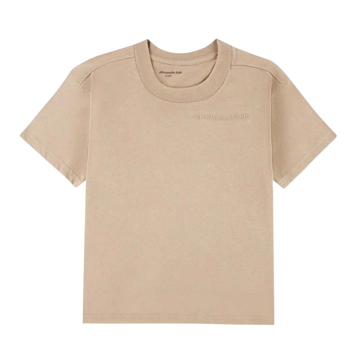 Chalk Pink - Front - Abercrombie & Fitch Childrens-Kids Overhead Comfort Hoodie