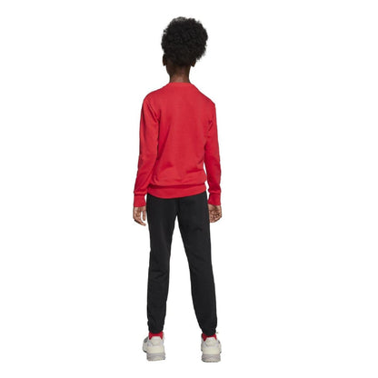 Ruby Red - Back - Adidas Childrens-Kids Essentials Hoodie And Joggers Set
