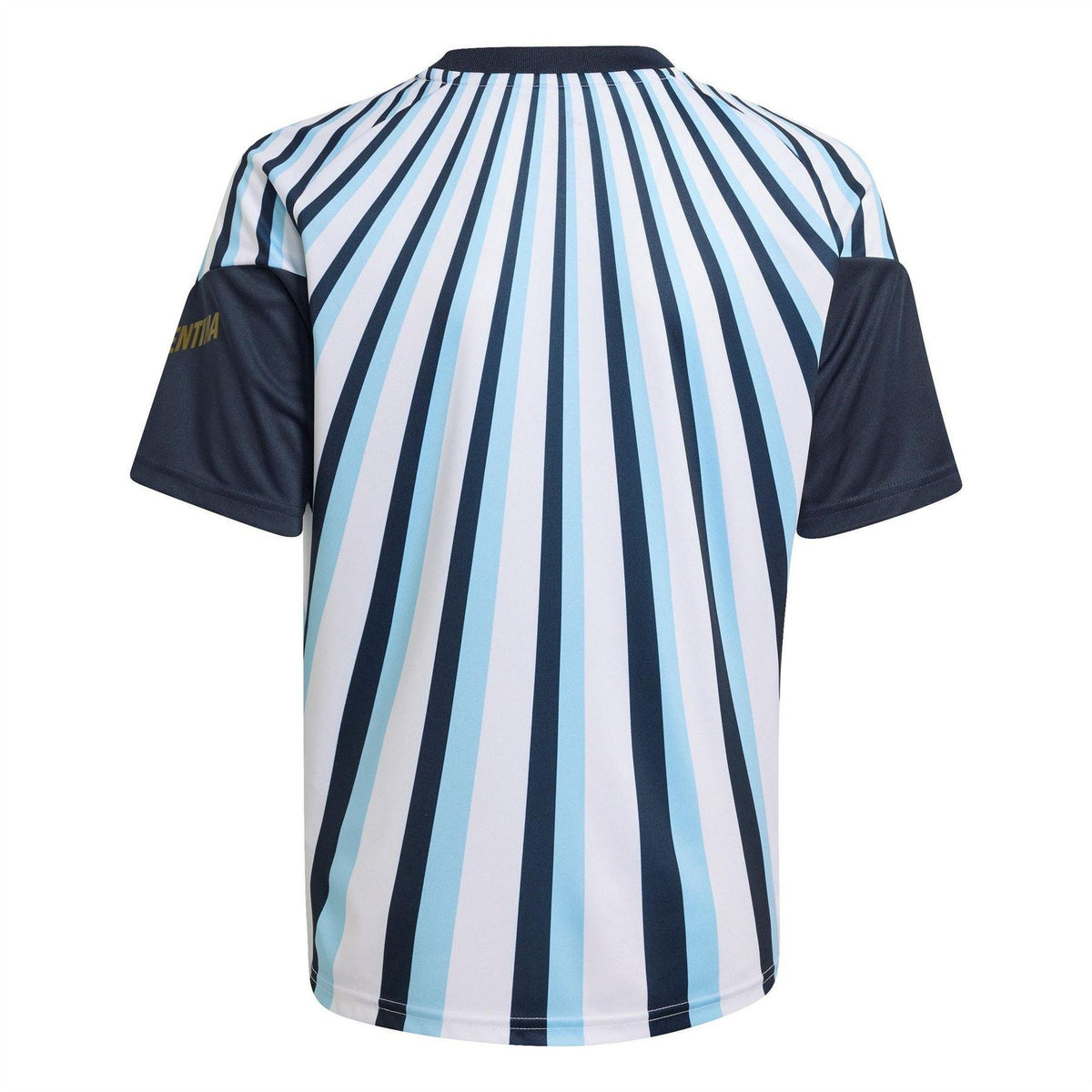 White-Blue - Back - Adidas Childrens-Kids 2026 Pre Match Argentina Football Jersey