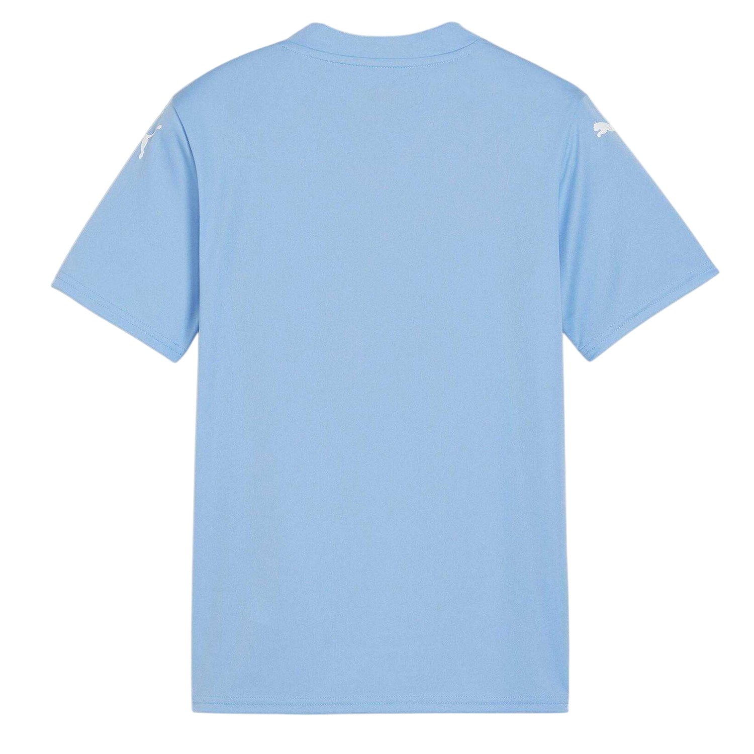 Blue-White - Back - Puma Childrens-Kids Teamglory T-Shirt