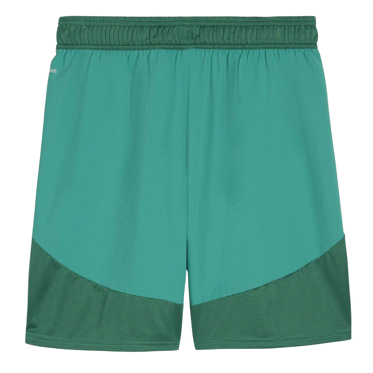 Sport Green-White - Back - Puma Mens TeamFinal Football Shorts