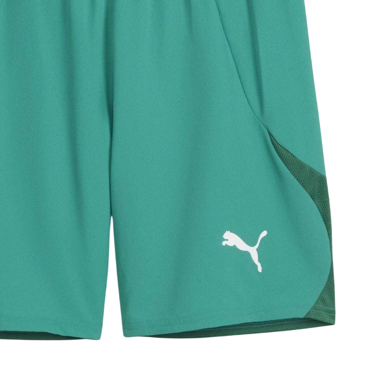 Sport Green-White - Side - Puma Mens TeamFinal Football Shorts