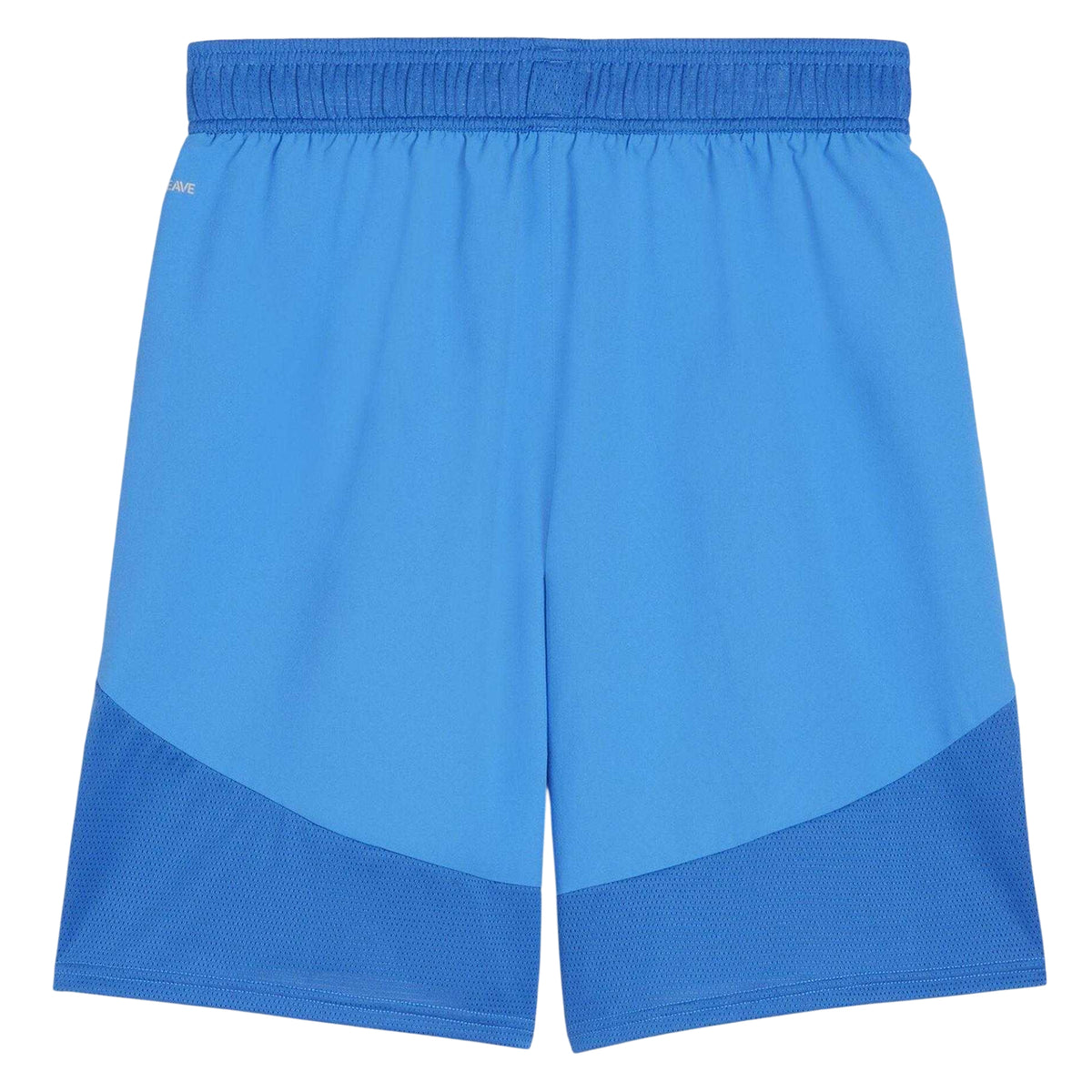 Blue-White - Back - Puma Mens TeamFinal Football Shorts