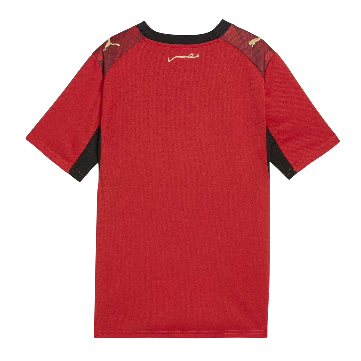 Red-White - Back - Puma Childrens-Kids World Cup 2026 Egyptian Football Shirt