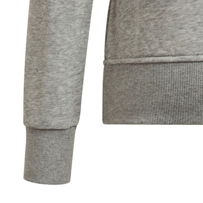 Grey - Pack Shot - Adidas Girls Essentials Big Logo Sweatshirt