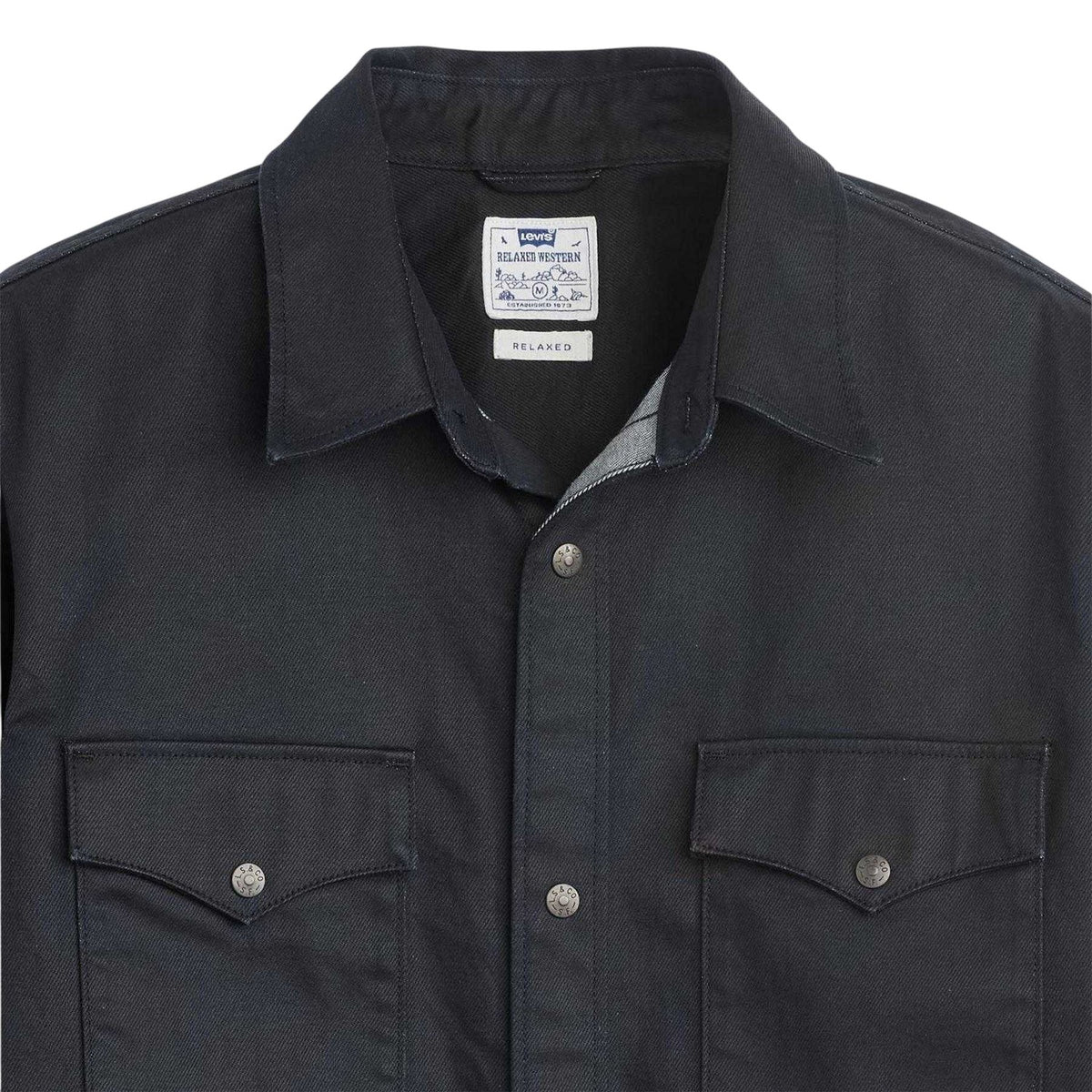 Tiebout Worn - Back - Levis Mens Collared Relaxed Fit Shirt