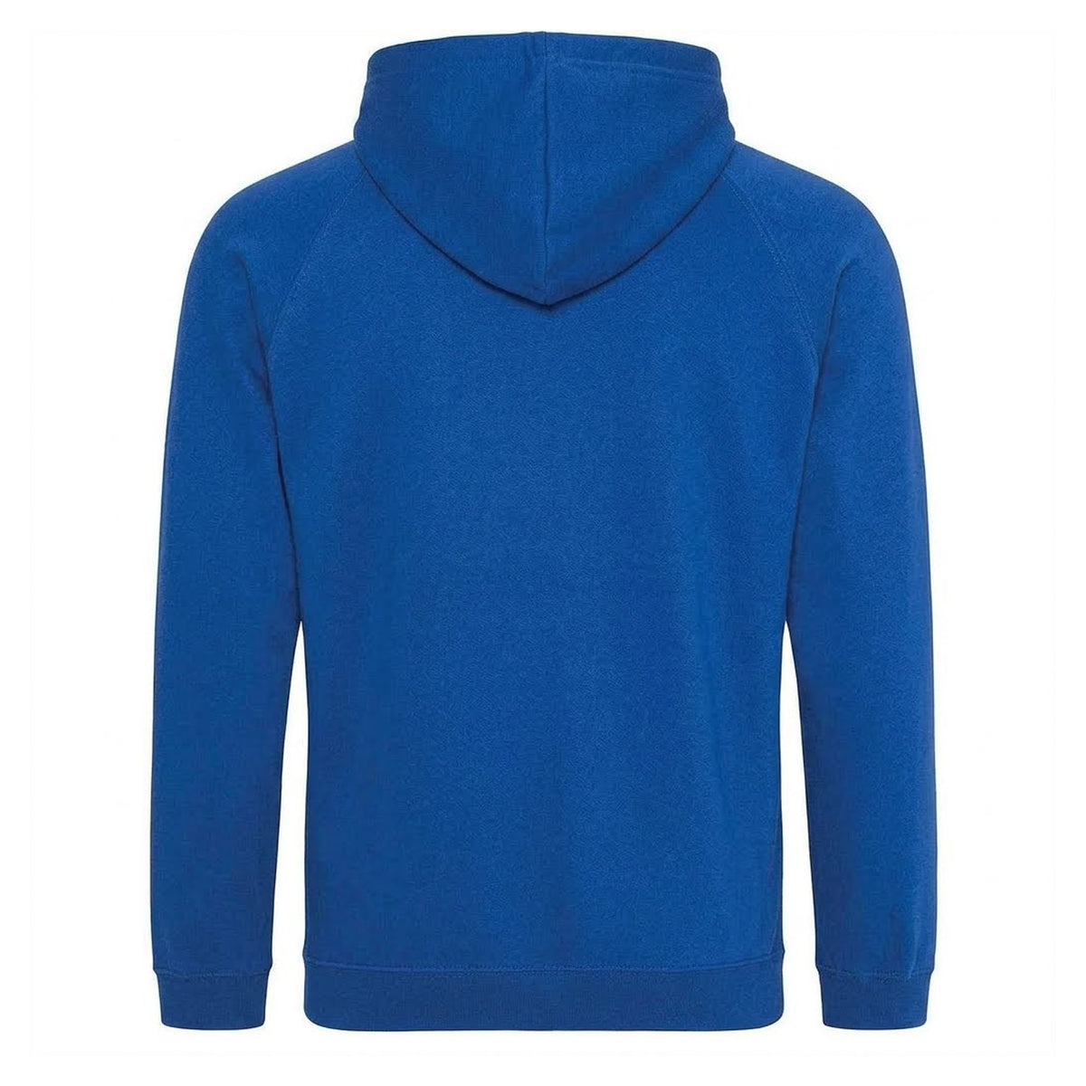 Blue - Back - Disney Mens Pterodactyl Hoodie