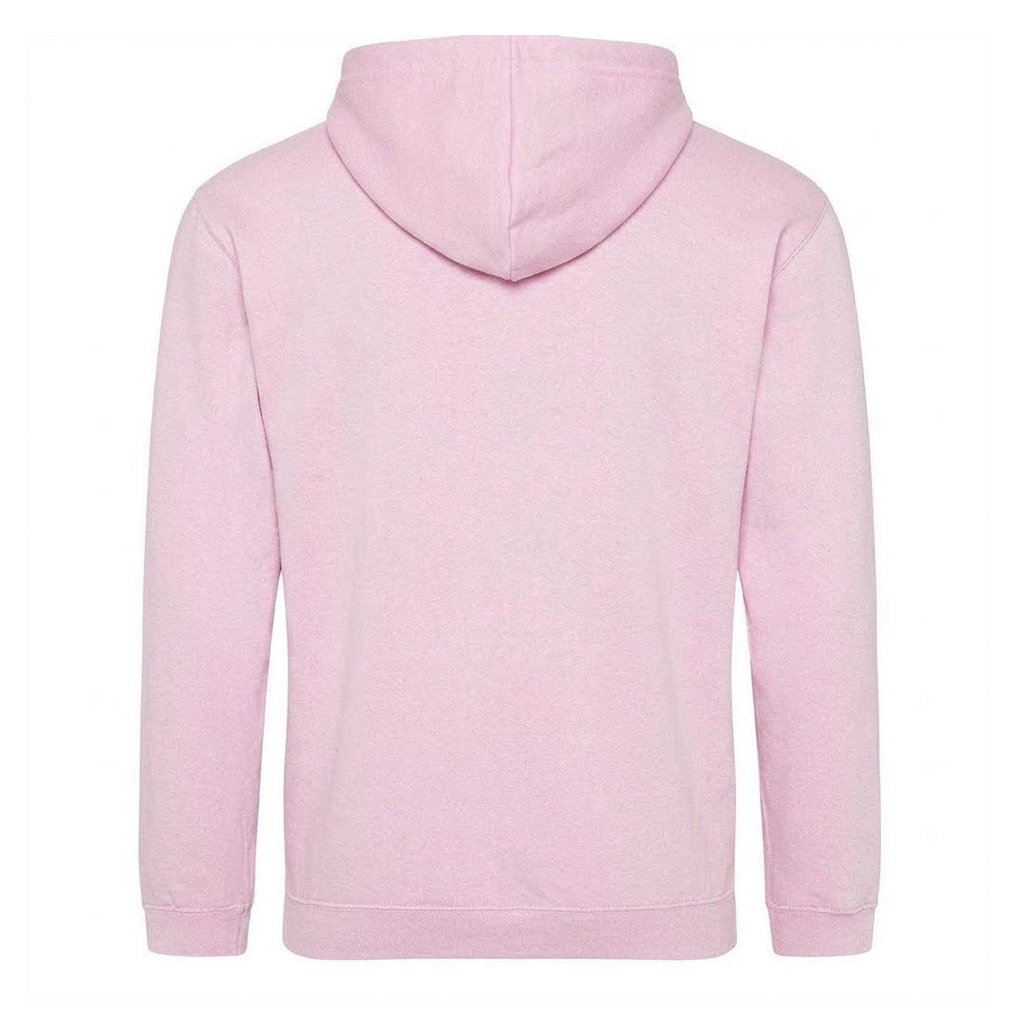 Pink - Back - Disney Mens Pterodactyl Hoodie